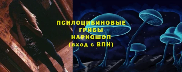 молекула духа Заволжск