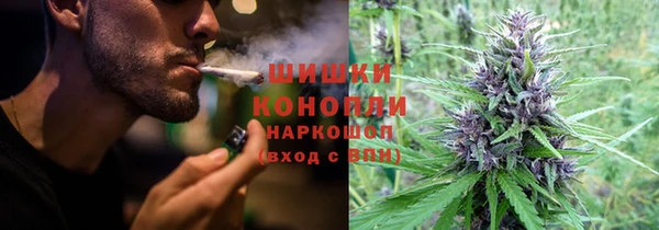 синтетический гашиш Заводоуковск